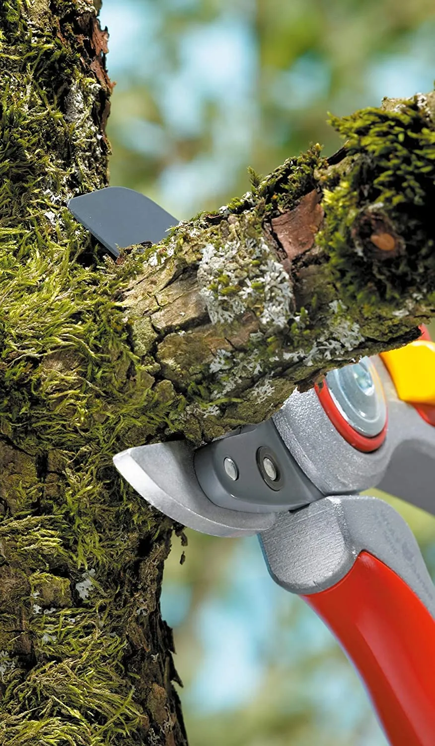 WOLF-Garten Anvil Secateurs: Professional RS5000