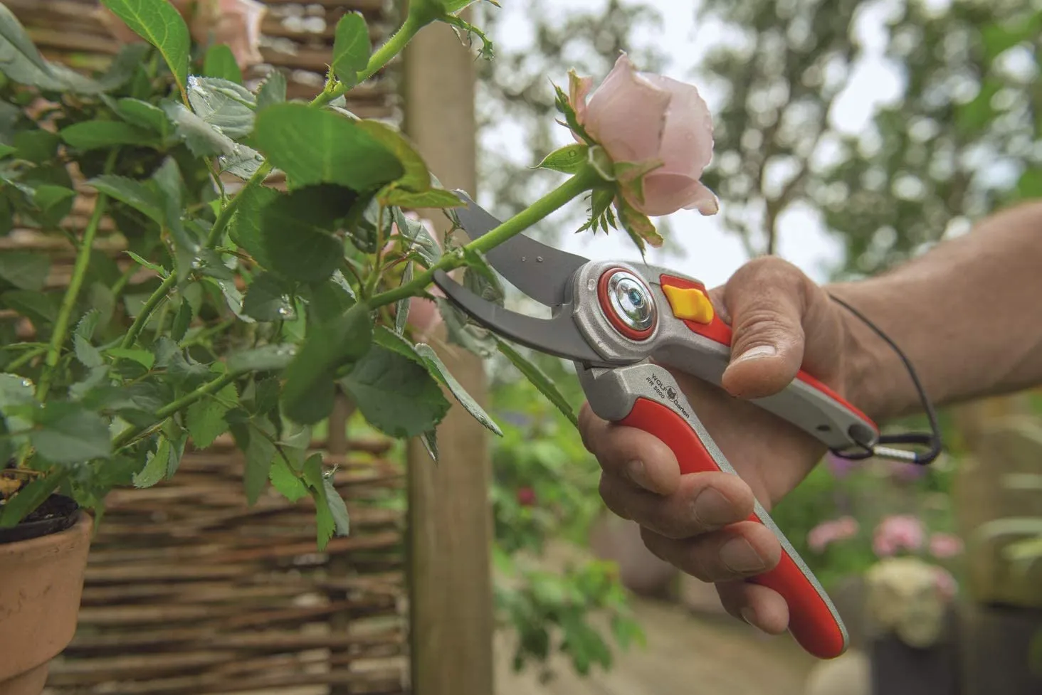 WOLF-Garten Bypass Secateurs: Professional RR5000