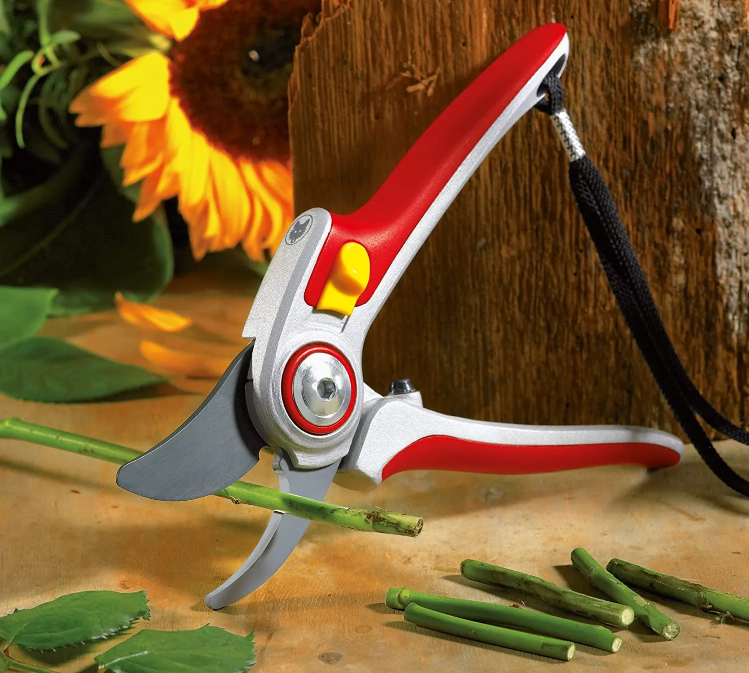 WOLF-Garten Bypass Secateurs: Professional RR5000